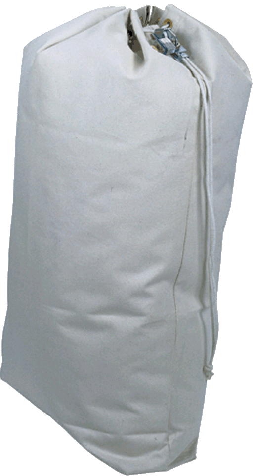 COUNTY MAIL BAG MEDIUM C241 PK25 By County - View #4